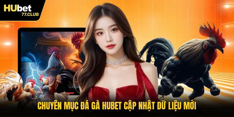 Chuyên mục đá gà HUBET cập nhật dữ liệu mới