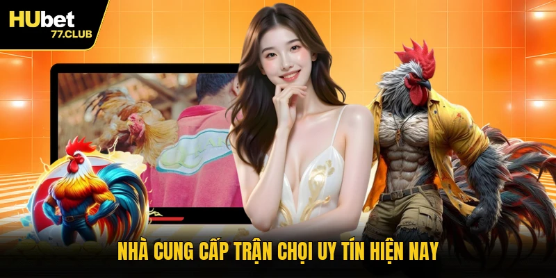 Nhà cung cấp trận chọi uy tín hiện nay